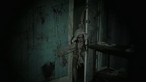 Images posters