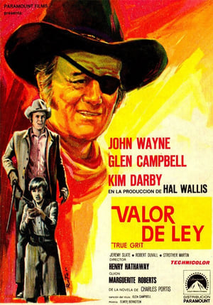 Poster Valor de ley 1969