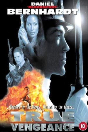 Poster True Vengeance 1997