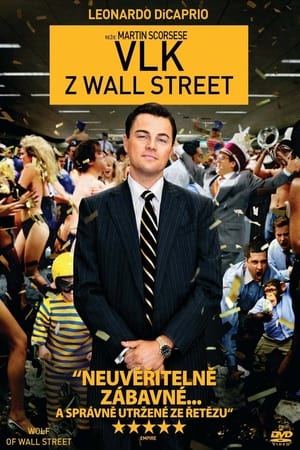 Vlk z Wall Street 2013