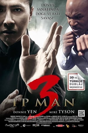 Image Ip Man 3