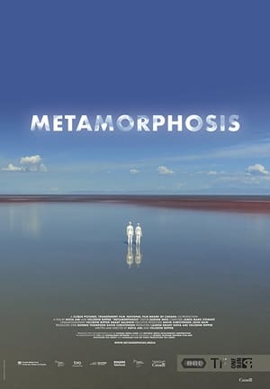 Poster Metamorphosis 2018