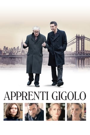 Poster Apprenti gigolo 2013