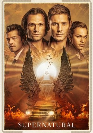 <Images posters