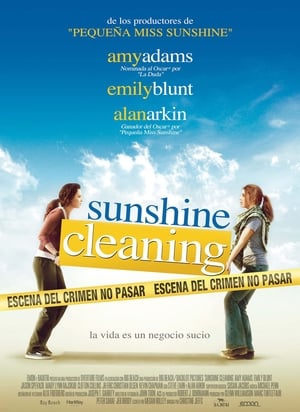 Poster Sunshine Cleaning 2008