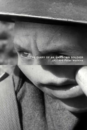 Télécharger The Diary of an Unknown Soldier ou regarder en streaming Torrent magnet 
