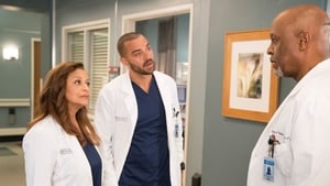 Grey’s Anatomy Season 14 Episode 16