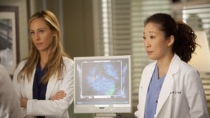 Grey's Anatomy Season 8 :Episode 23  Migration