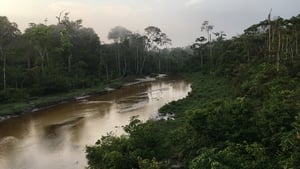 مشاهدة الوثائقي Silent Forests 2019 مترجم