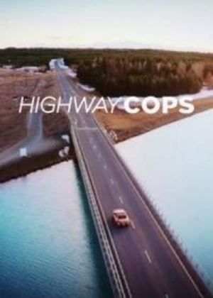 Highway Cops