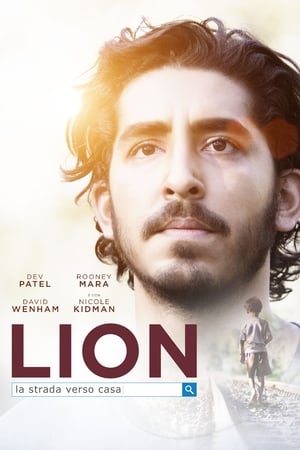 Poster Lion - La strada verso casa 2016