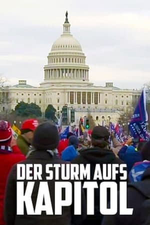 Image Der Sturm aufs Kapitol - Ein amerikanisches Trauma