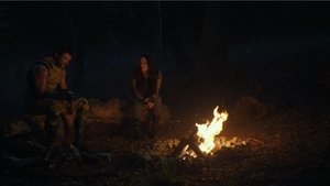 Images posters