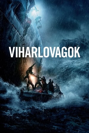 Poster Viharlovagok 2016