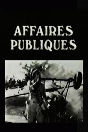 Image Les Affaires publiques