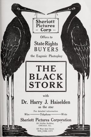 Poster The Black Stork 1917