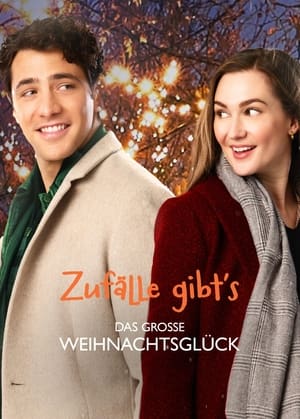 Image Zufälle gibt's - Das große Weihnachtsglück