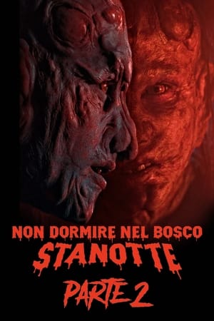 Poster Non dormire nel bosco stanotte - Parte 2 2021