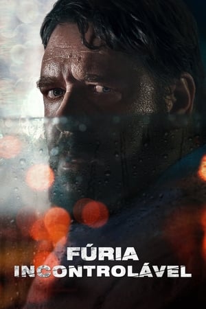 Poster Em Fúria 2020