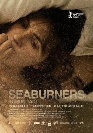 Poster Seaburners 2014