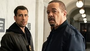 Law & Order: Special Victims Unit Season 24 :Episode 20  Debatable