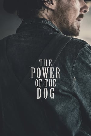 Image The Power of the Dog