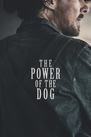 Image Puterea câinelui
