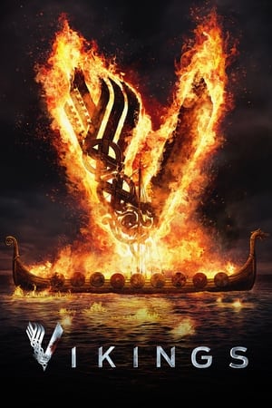 Poster Vikings 2013