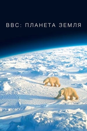 Poster Планета Земля 2006