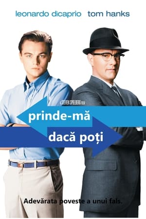 Poster Prinde-mă! Dacă poți! 2002