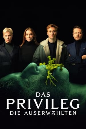 Poster The Privilege 2022