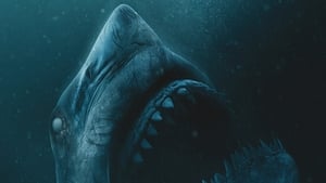 Capture of 47 Meters Down: Uncaged (2019) HD Монгол хадмал