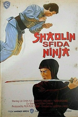 Image Shaolin sfida ninja