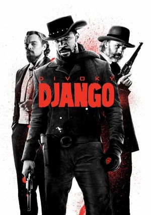 Divoký Django 2012