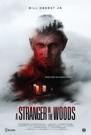 Télécharger A Stranger in the Woods ou regarder en streaming Torrent magnet 