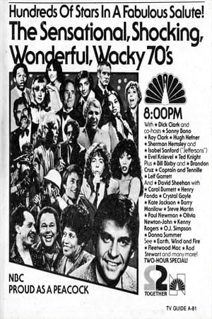 Poster The Sensational Shocking Wonderful Wacky 70's 1980