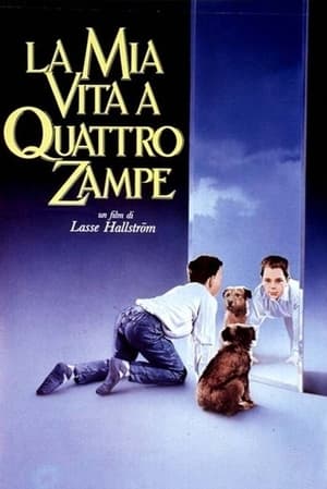 La mia vita a quattro zampe 1985