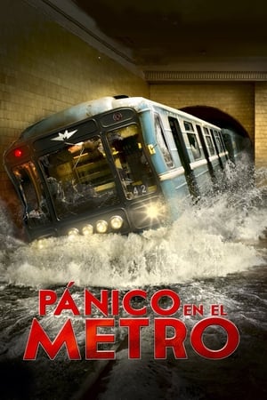 Poster Pánico en el metro 2013