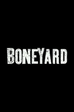 Image Boneyard