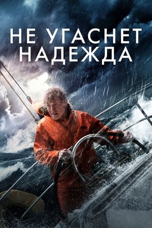 Poster Не угаснет надежда 2013