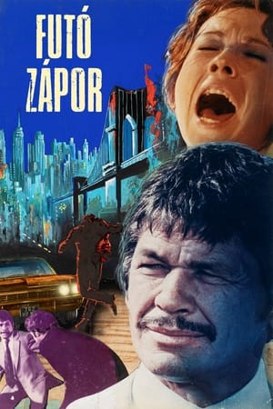 Poster Futó zápor 1970