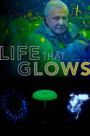 Poster Attenborough's Life That Glows 2016