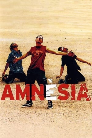 Poster Amnèsia 2002