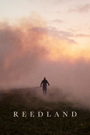 Reedland (2025)