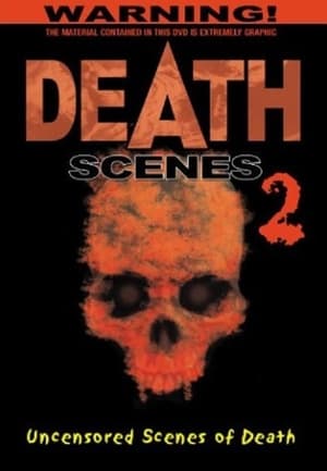 Poster Death Scenes 2 1992