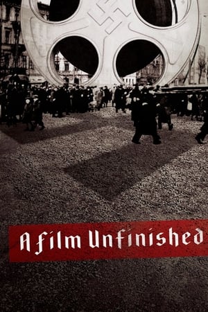 Poster A Film Unfinished 2010