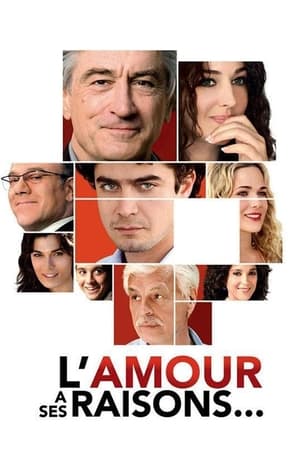 Poster L'Amour a ses raisons 2011