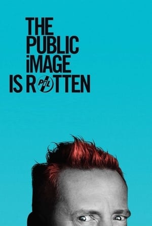 The Public Image Is Rotten 2017