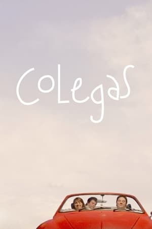 Colegas 2013