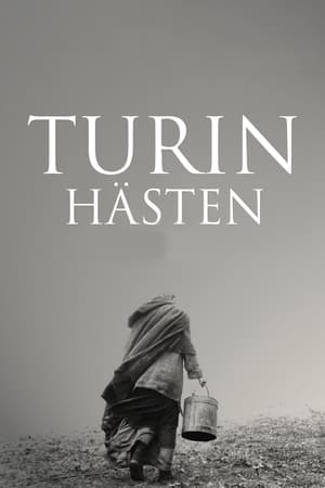 Poster Turinhästen 2011